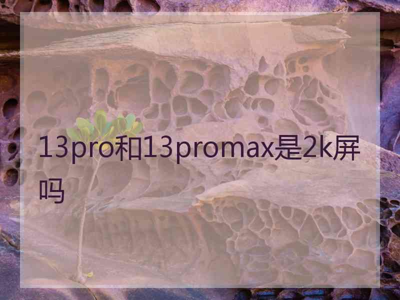 13pro和13promax是2k屏吗