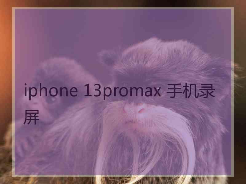 iphone 13promax 手机录屏