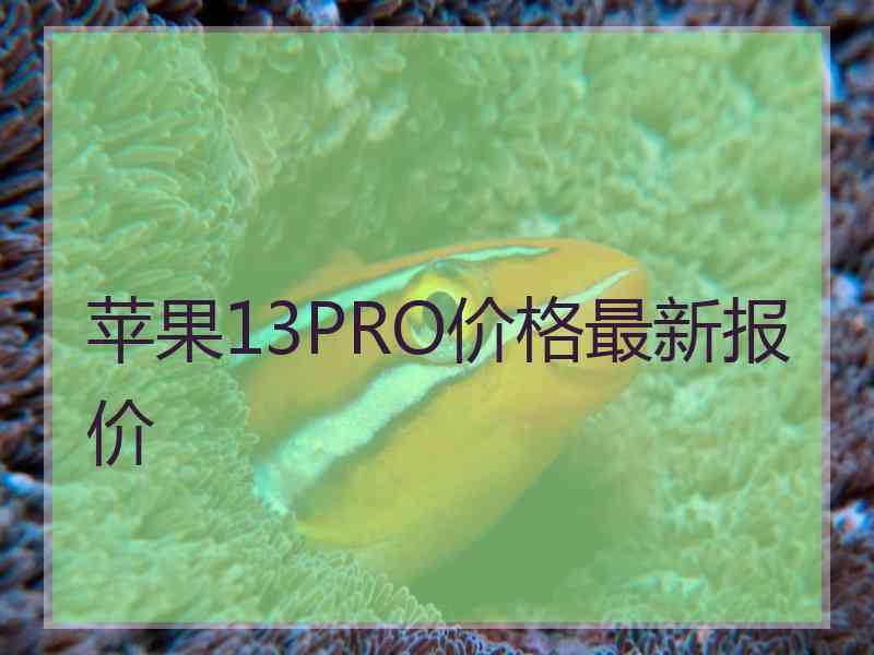 苹果13PRO价格最新报价