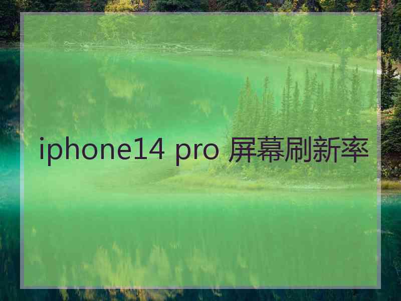 iphone14 pro 屏幕刷新率