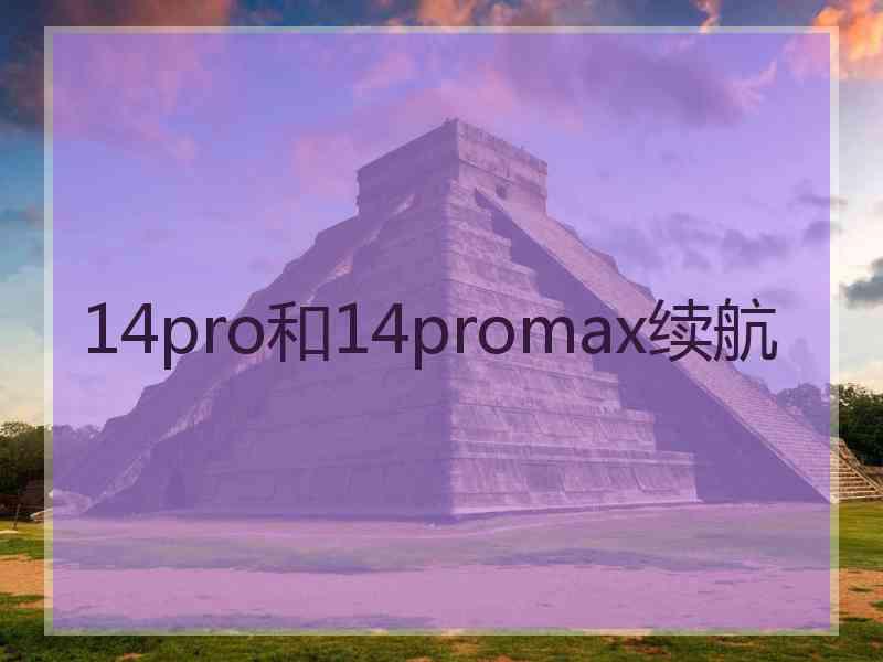 14pro和14promax续航