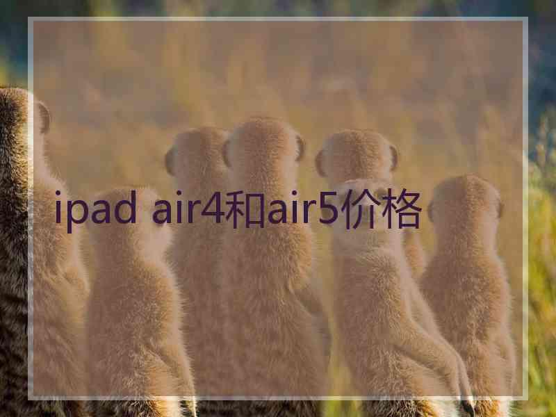 ipad air4和air5价格