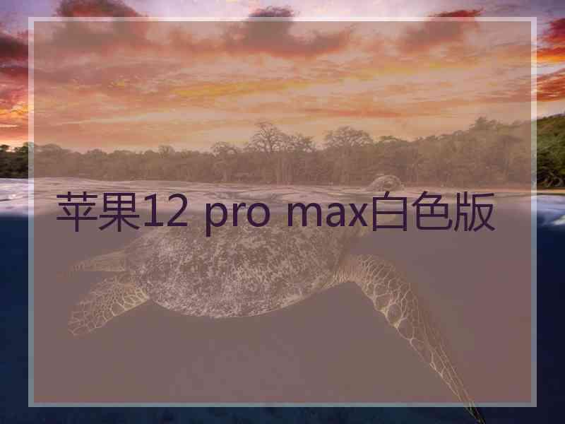 苹果12 pro max白色版