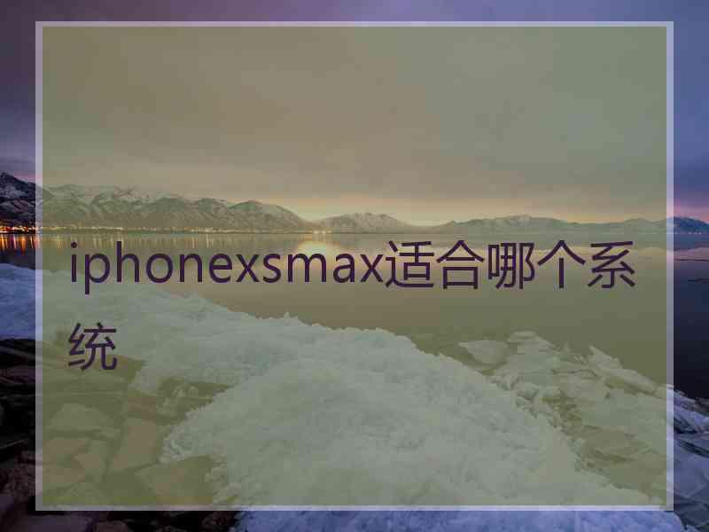 iphonexsmax适合哪个系统