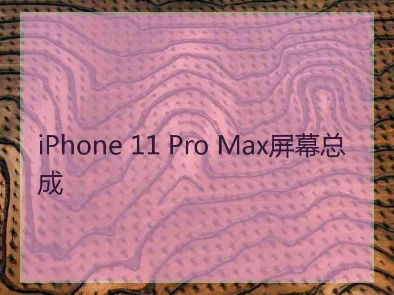 iPhone 11 Pro Max屏幕总成