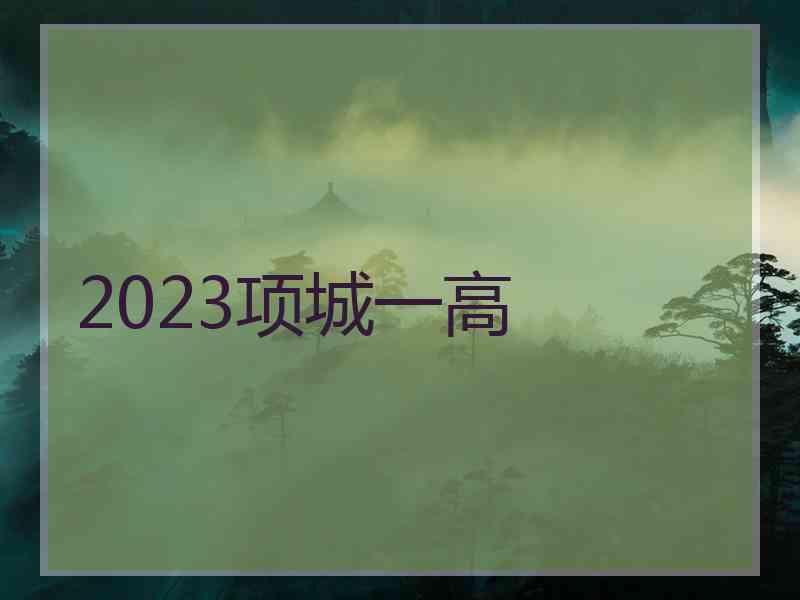 2023项城一高