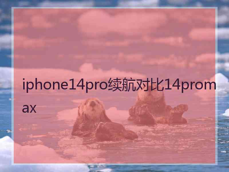 iphone14pro续航对比14promax