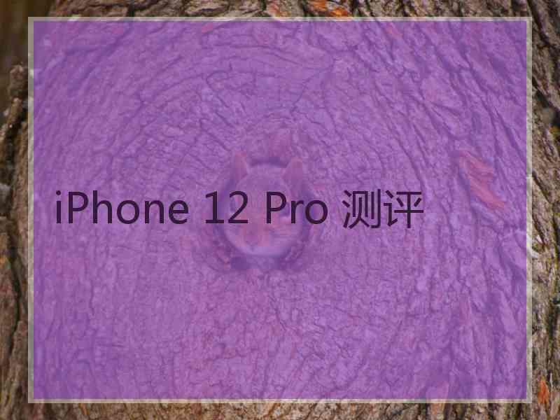 iPhone 12 Pro 测评