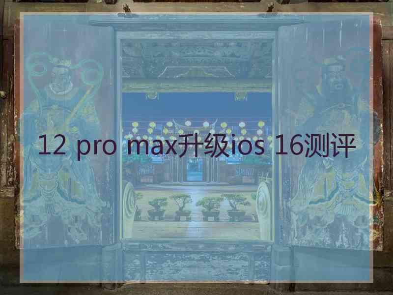 12 pro max升级ios 16测评