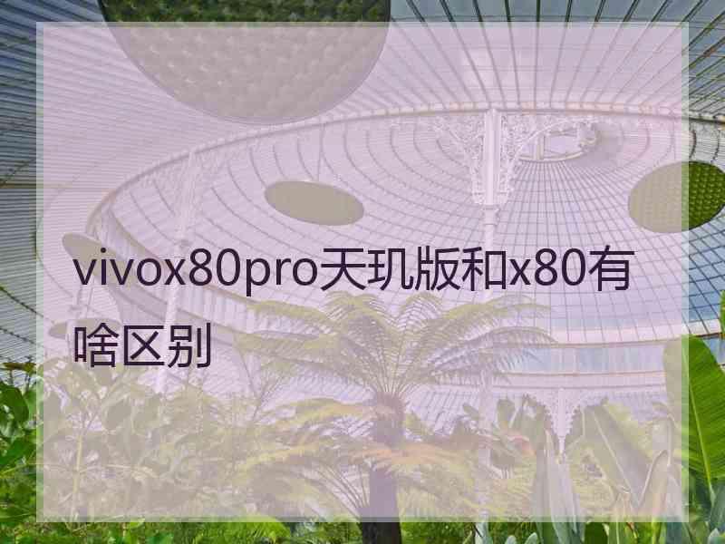 vivox80pro天玑版和x80有啥区别