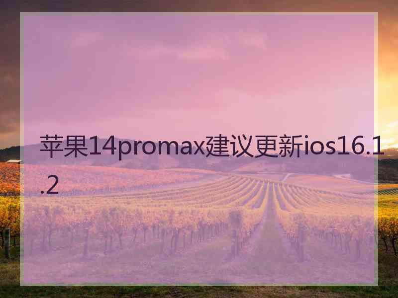 苹果14promax建议更新ios16.1.2