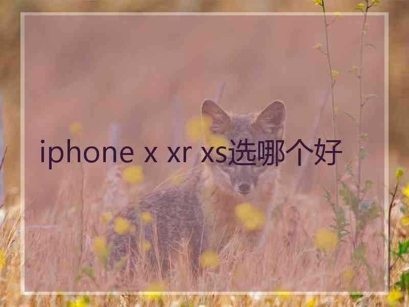 iphone x xr xs选哪个好