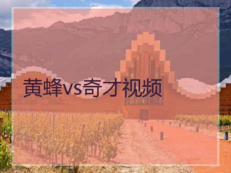 黄蜂vs奇才视频