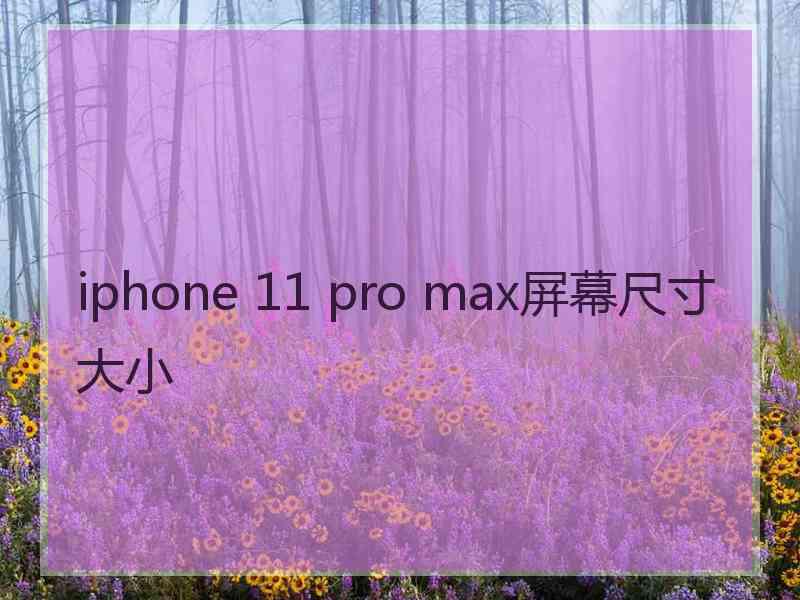 iphone 11 pro max屏幕尺寸大小