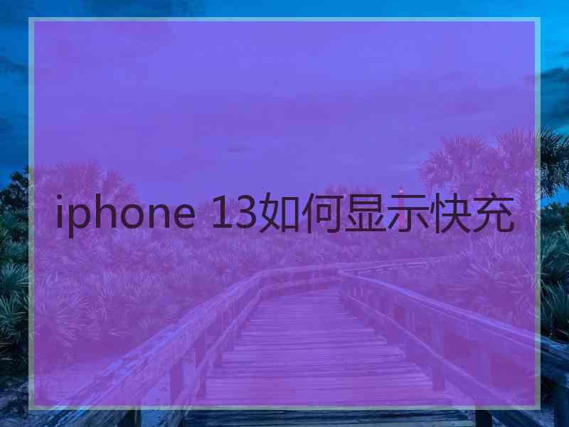 iphone 13如何显示快充