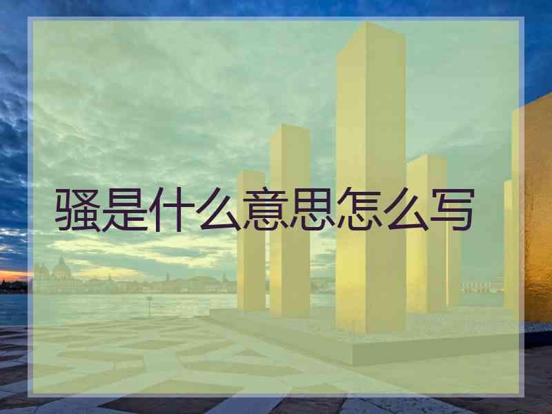 骚是什么意思怎么写