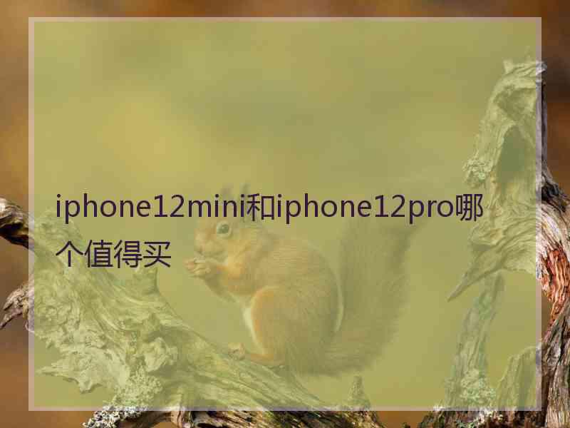 iphone12mini和iphone12pro哪个值得买