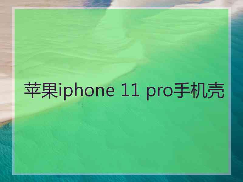 苹果iphone 11 pro手机壳