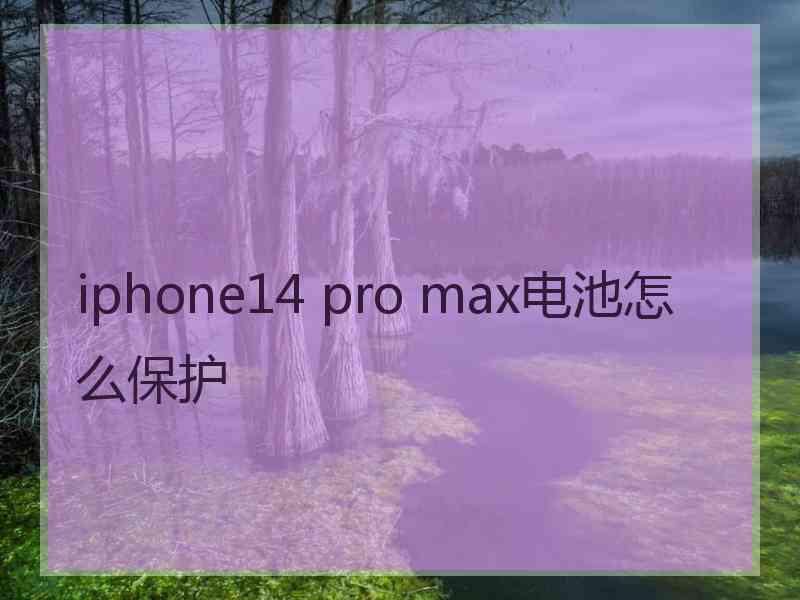 iphone14 pro max电池怎么保护