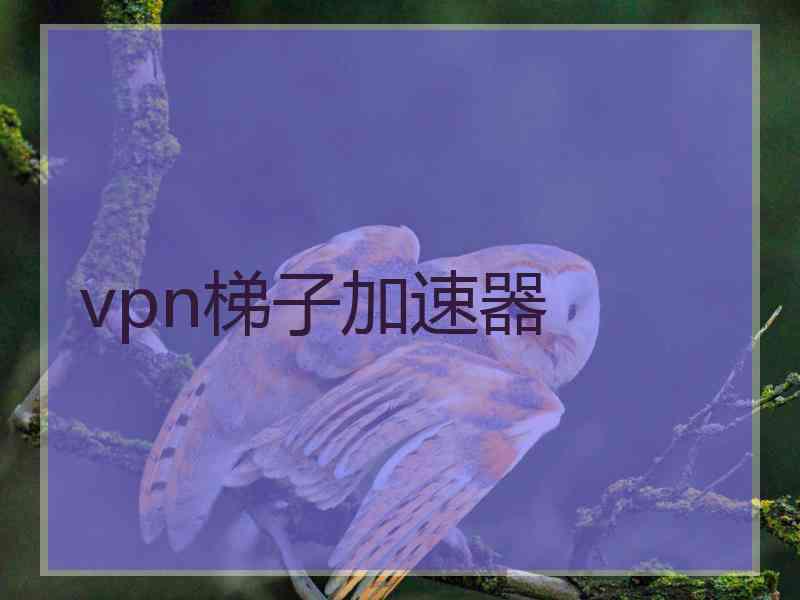 vpn梯子加速器