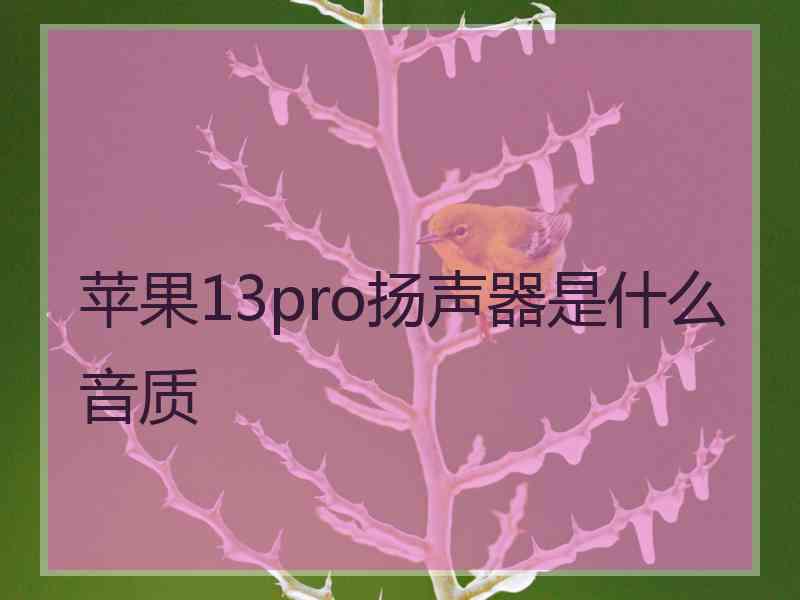 苹果13pro扬声器是什么音质