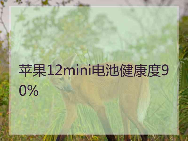 苹果12mini电池健康度90%