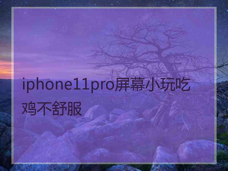 iphone11pro屏幕小玩吃鸡不舒服