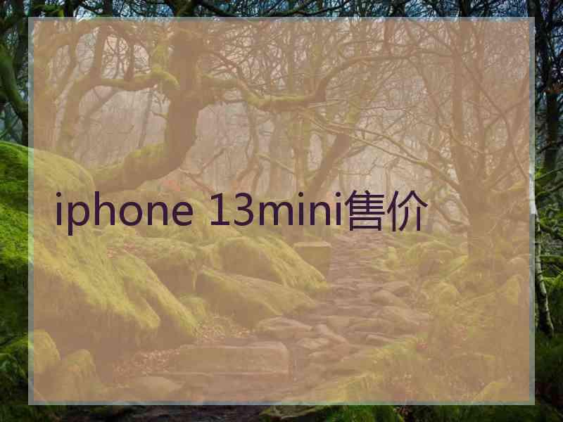 iphone 13mini售价