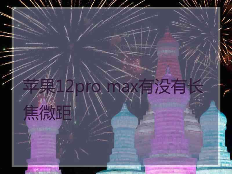 苹果12pro max有没有长焦微距