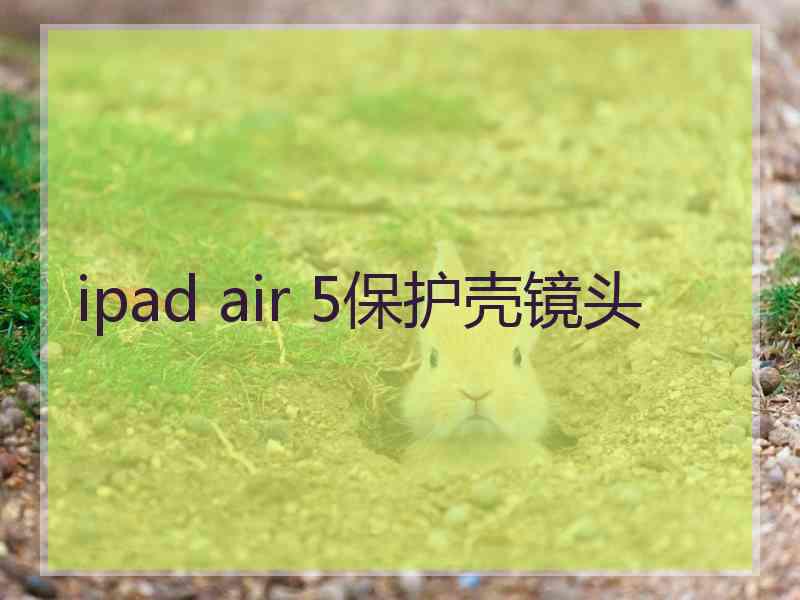 ipad air 5保护壳镜头