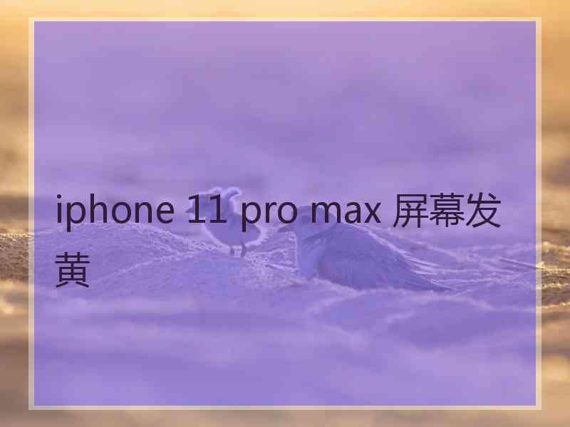 iphone 11 pro max 屏幕发黄