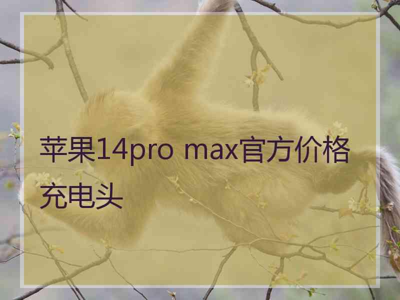 苹果14pro max官方价格充电头