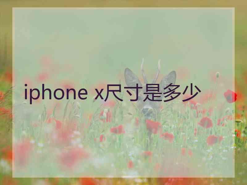 iphone x尺寸是多少