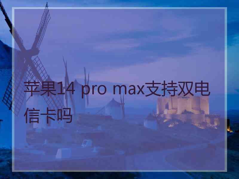 苹果14 pro max支持双电信卡吗