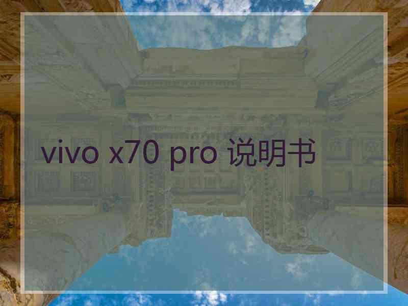 vivo x70 pro 说明书