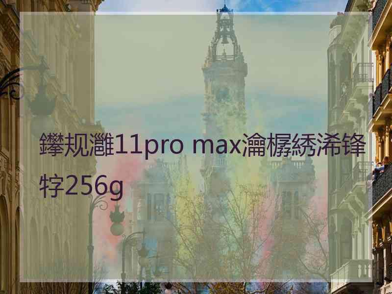 鑻规灉11pro max瀹樼綉浠锋牸256g