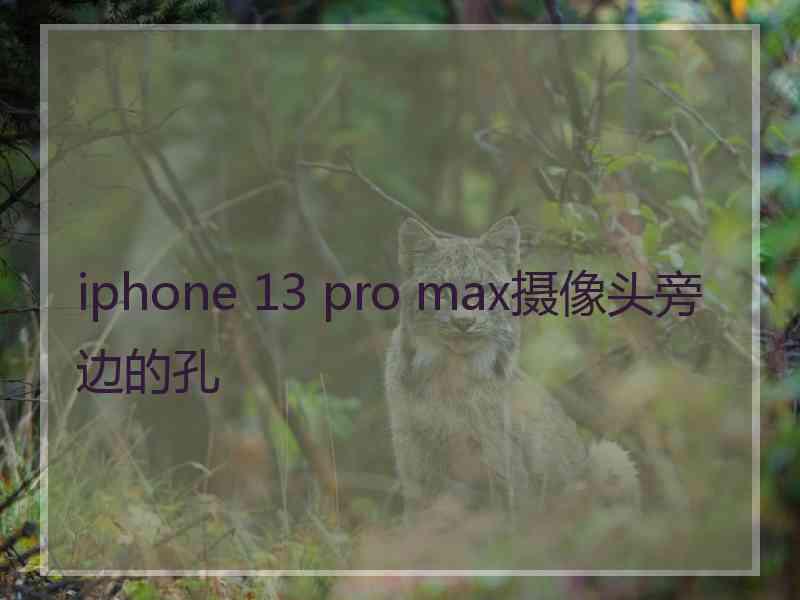 iphone 13 pro max摄像头旁边的孔