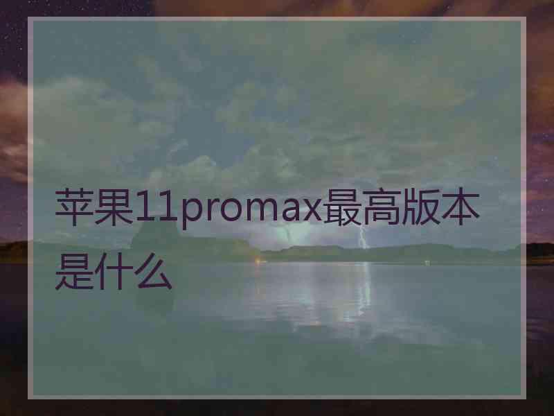 苹果11promax最高版本是什么