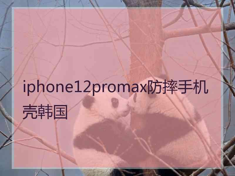 iphone12promax防摔手机壳韩国