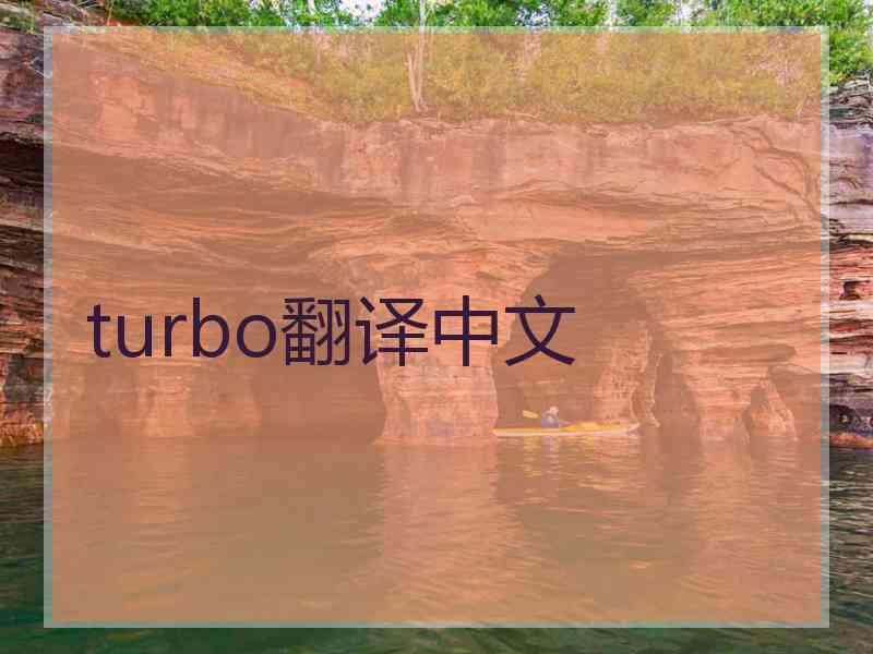 turbo翻译中文