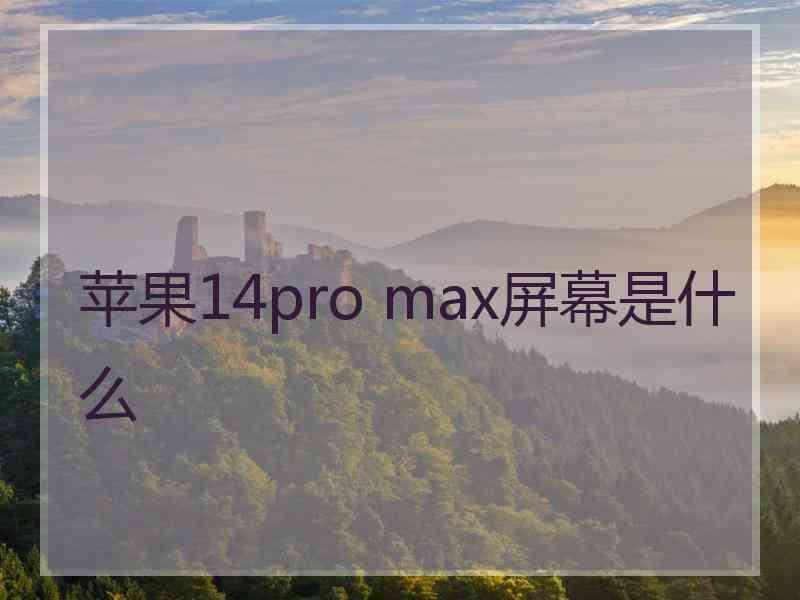 苹果14pro max屏幕是什么