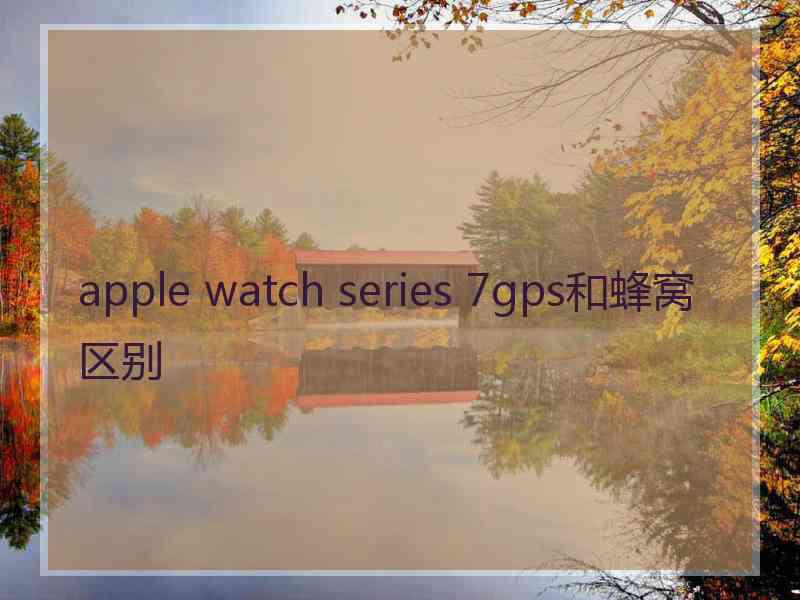 apple watch series 7gps和蜂窝区别