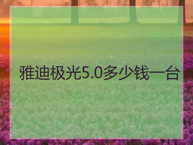 雅迪极光5.0多少钱一台