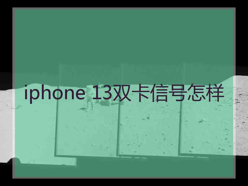 iphone 13双卡信号怎样