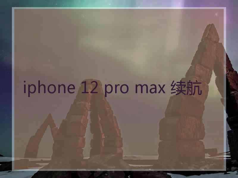 iphone 12 pro max 续航