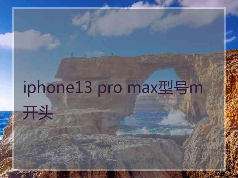 iphone13 pro max型号m开头