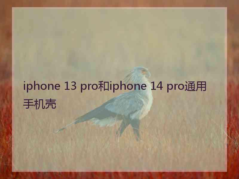 iphone 13 pro和iphone 14 pro通用手机壳