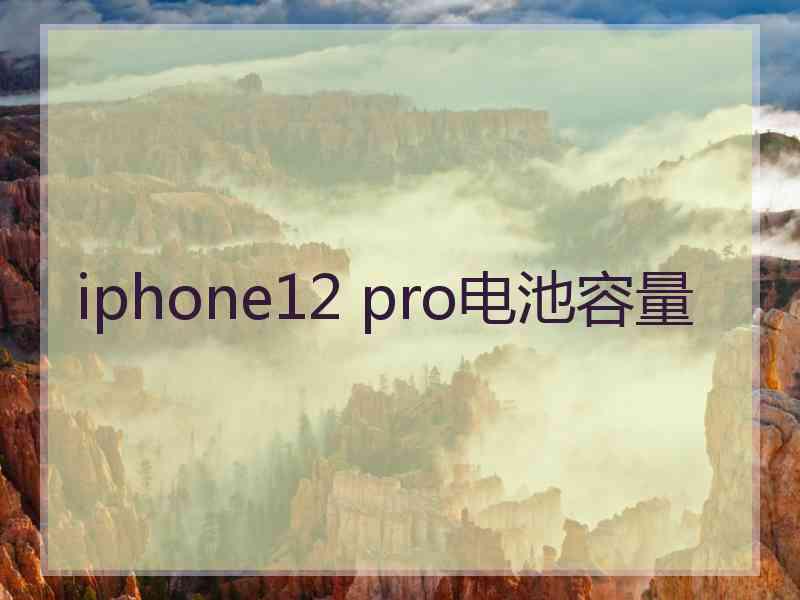 iphone12 pro电池容量