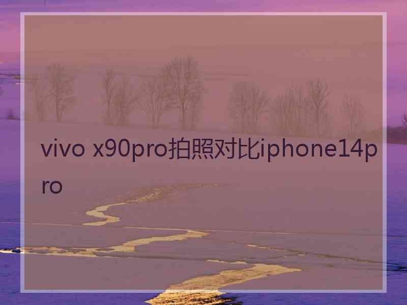 vivo x90pro拍照对比iphone14pro