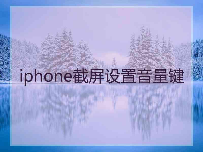 iphone截屏设置音量键